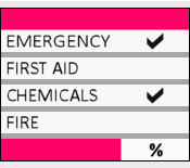 Safety Audit Checklist